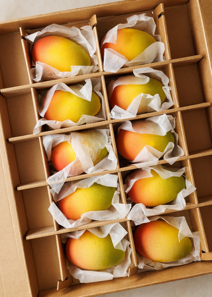 Amória Fruitcake Mango